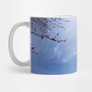 Red Maple Blossoms against a Blue Sky Mug